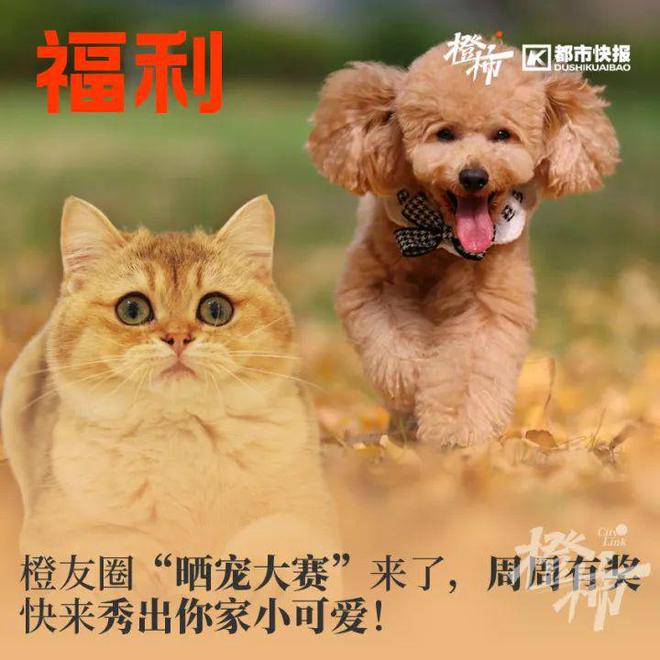 蚂蚁森林盲盒……橙柿福利等你来j9九游会入口首页利星购物卡、(图2)