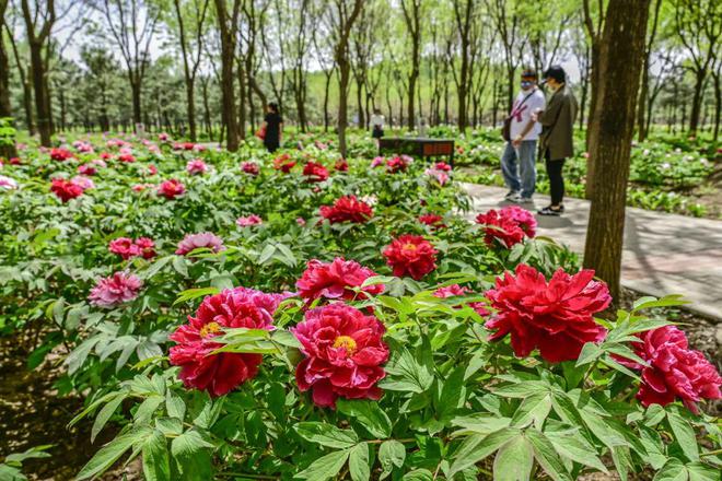 心-2：三大+书市+特色小镇打卡文旅新地标j9九游会(中国)网站120小时玩转副中(图5)